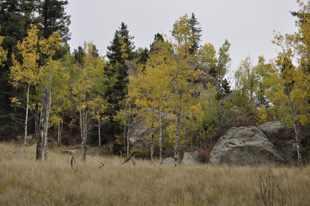Fourth annual trail race up Cheyenne Mountain the first of its kind